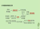 2024届高考生物一轮复习第十单元生物技术与工程第4课时动物细胞工程课件（苏教版）