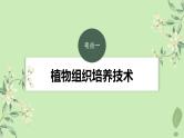 2024届高考生物一轮复习第十单元生物技术与工程第3课时植物细胞工程课件（苏教版）