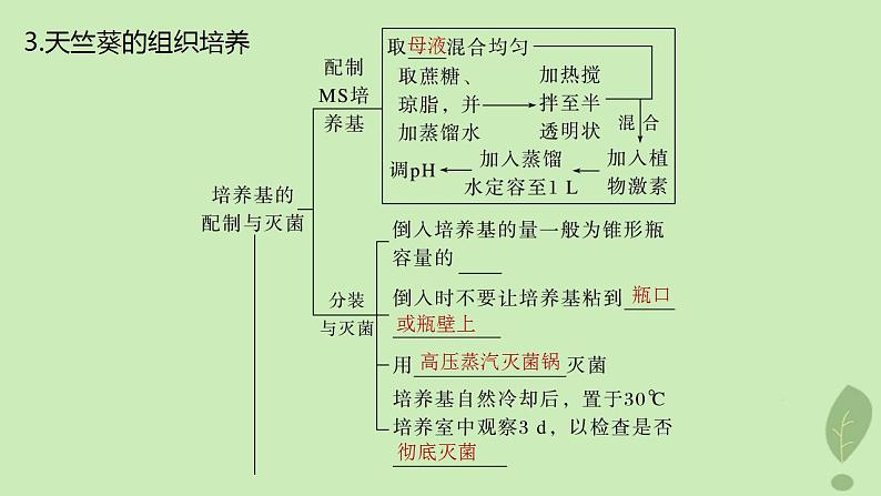 2024届高考生物一轮复习第十单元生物技术与工程第3课时植物细胞工程课件（苏教版）06