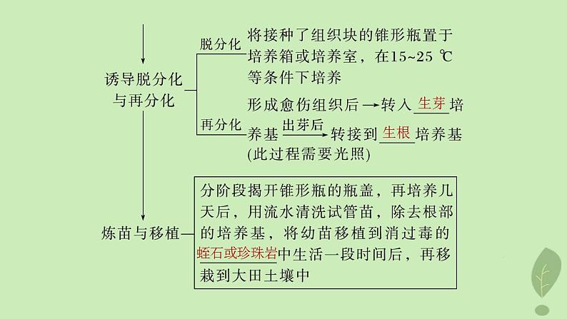 2024届高考生物一轮复习第十单元生物技术与工程第3课时植物细胞工程课件（苏教版）08