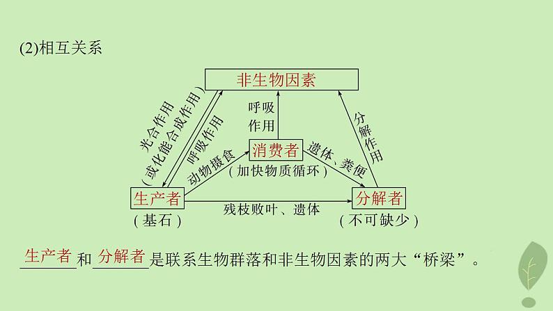 2024届高考生物一轮复习第九单元生物与环境第6课时生态系统的结构课件（苏教版）第7页