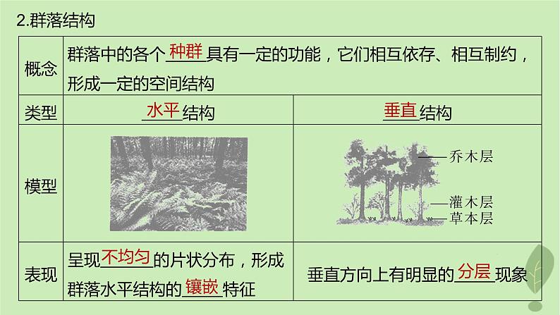 2024届高考生物一轮复习第九单元生物与环境第4课时生物群落的结构课件（苏教版）第4页