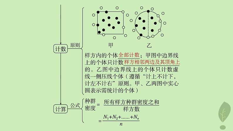 2024届高考生物一轮复习第九单元生物与环境第1课时种群的特征课件（苏教版）第8页