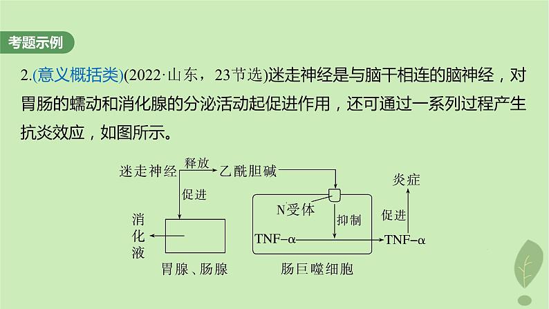 2024届高考生物一轮复习第八单元生命活动的调节长句表达四个体稳态中相关过程变化机理分析课件（苏教版）第3页