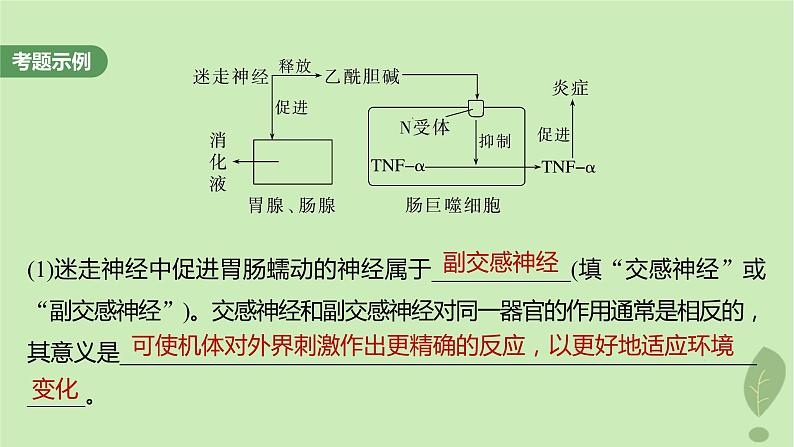 2024届高考生物一轮复习第八单元生命活动的调节长句表达四个体稳态中相关过程变化机理分析课件（苏教版）第4页