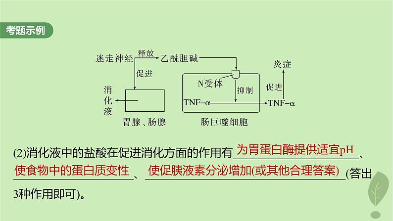 2024届高考生物一轮复习第八单元生命活动的调节长句表达四个体稳态中相关过程变化机理分析课件（苏教版）第5页