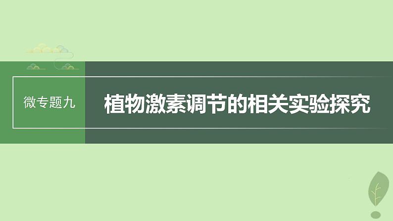 2024届高考生物一轮复习第八单元生命活动的调节微专题九植物激素调节的相关实验探究课件（苏教版）01