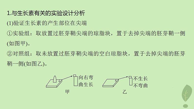 2024届高考生物一轮复习第八单元生命活动的调节微专题九植物激素调节的相关实验探究课件（苏教版）02