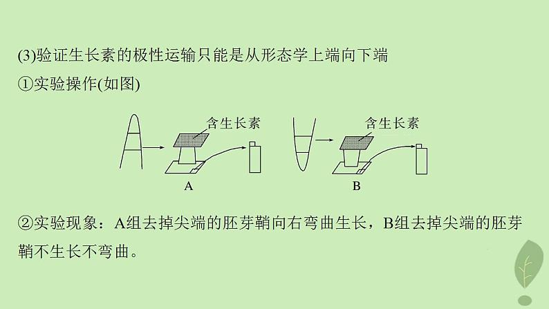 2024届高考生物一轮复习第八单元生命活动的调节微专题九植物激素调节的相关实验探究课件（苏教版）04