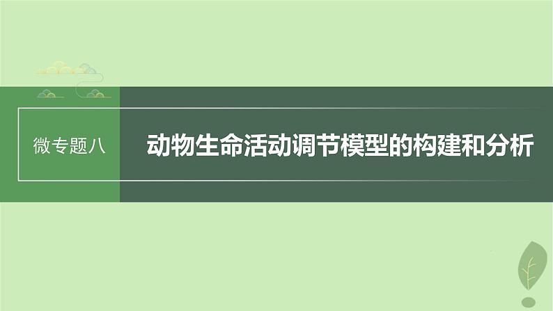 2024届高考生物一轮复习第八单元生命活动的调节微专题八动物生命活动调节模型的构建和分析课件（苏教版）01