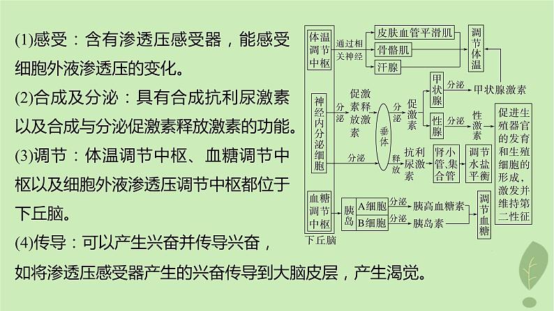 2024届高考生物一轮复习第八单元生命活动的调节微专题八动物生命活动调节模型的构建和分析课件（苏教版）03