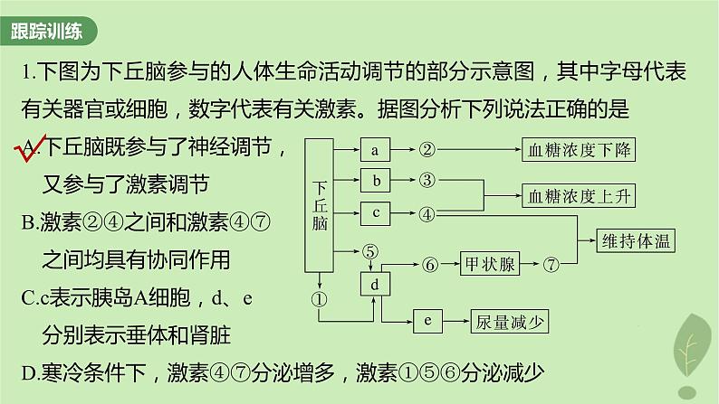 2024届高考生物一轮复习第八单元生命活动的调节微专题八动物生命活动调节模型的构建和分析课件（苏教版）04