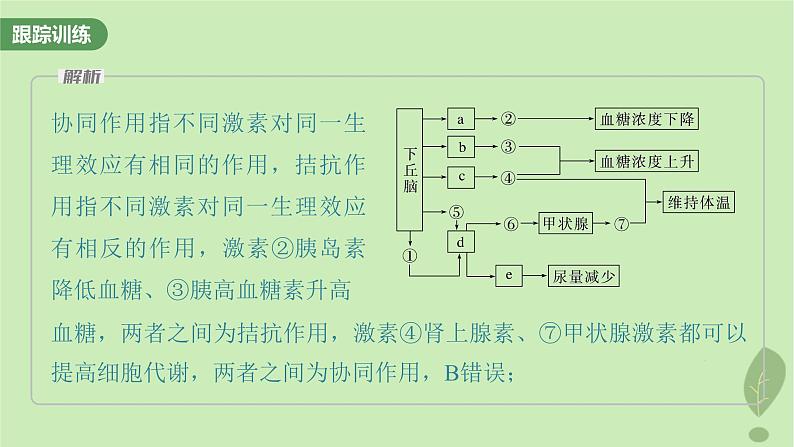 2024届高考生物一轮复习第八单元生命活动的调节微专题八动物生命活动调节模型的构建和分析课件（苏教版）05