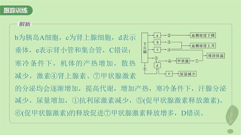 2024届高考生物一轮复习第八单元生命活动的调节微专题八动物生命活动调节模型的构建和分析课件（苏教版）06