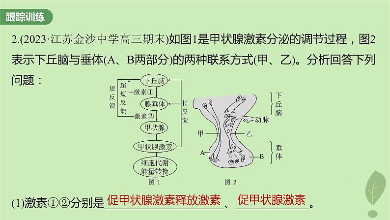 2024届高考生物一轮复习第八单元生命活动的调节微专题八动物生命活动调节模型的构建和分析课件（苏教版）07