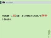2024届高考生物一轮复习第八单元生命活动的调节第9课时其他植物激素课件（苏教版）