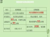 2024届高考生物一轮复习第八单元生命活动的调节第9课时其他植物激素课件（苏教版）