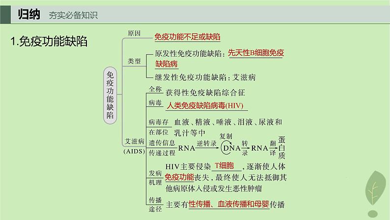 2024届高考生物一轮复习第八单元生命活动的调节第7课时人体免疫功能异常课件（苏教版）04