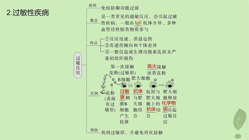 2024届高考生物一轮复习第八单元生命活动的调节第7课时人体免疫功能异常课件（苏教版）05