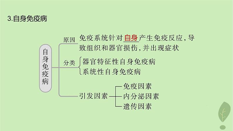 2024届高考生物一轮复习第八单元生命活动的调节第7课时人体免疫功能异常课件（苏教版）06