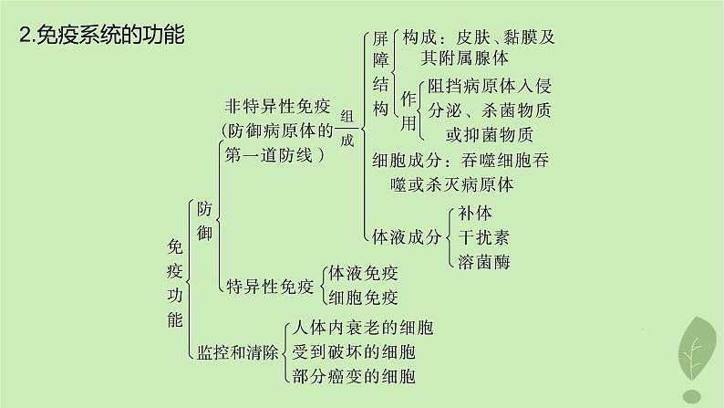 2024届高考生物一轮复习第八单元生命活动的调节第6课时人体的免疫应答课件（苏教版）05