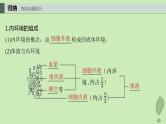 2024届高考生物一轮复习第八单元生命活动的调节第4课时内环境的稳态课件（苏教版）