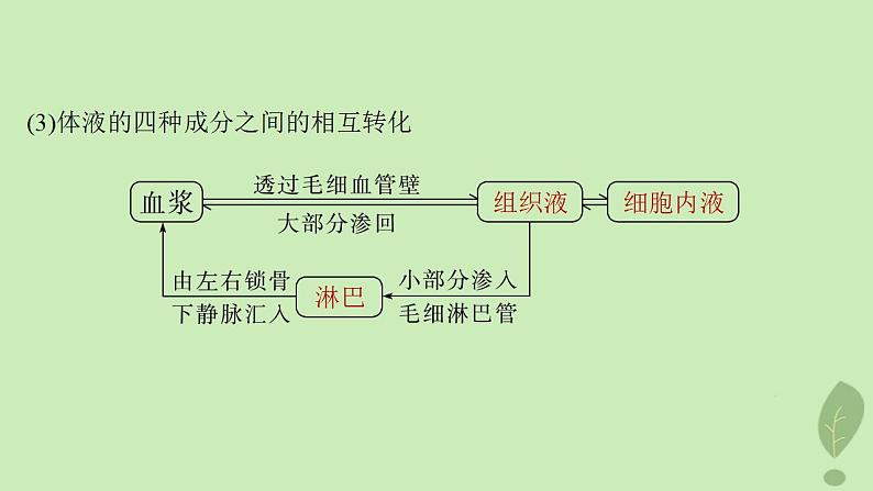 2024届高考生物一轮复习第八单元生命活动的调节第4课时内环境的稳态课件（苏教版）第5页