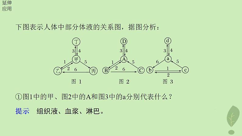 2024届高考生物一轮复习第八单元生命活动的调节第4课时内环境的稳态课件（苏教版）第6页