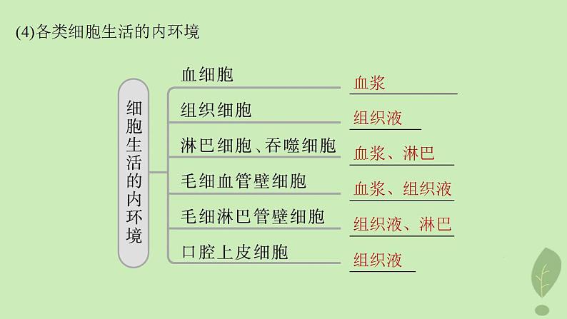 2024届高考生物一轮复习第八单元生命活动的调节第4课时内环境的稳态课件（苏教版）第8页