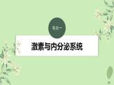 2024届高考生物一轮复习第八单元生命活动的调节第3课时激素与内分泌系统激素调节的过程课件（苏教版）