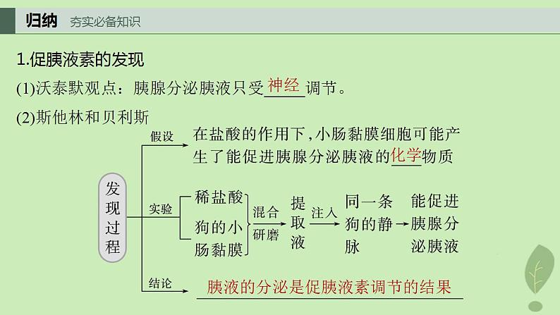 2024届高考生物一轮复习第八单元生命活动的调节第3课时激素与内分泌系统激素调节的过程课件（苏教版）04