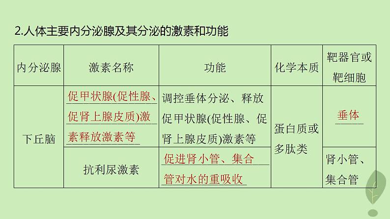 2024届高考生物一轮复习第八单元生命活动的调节第3课时激素与内分泌系统激素调节的过程课件（苏教版）06