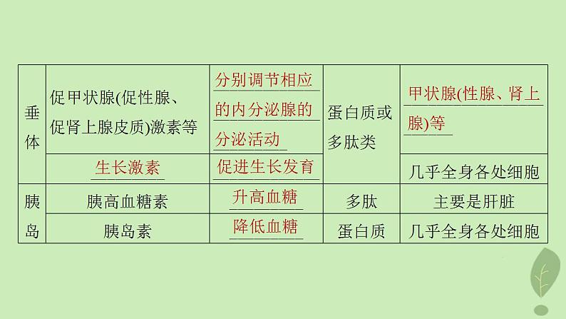 2024届高考生物一轮复习第八单元生命活动的调节第3课时激素与内分泌系统激素调节的过程课件（苏教版）07