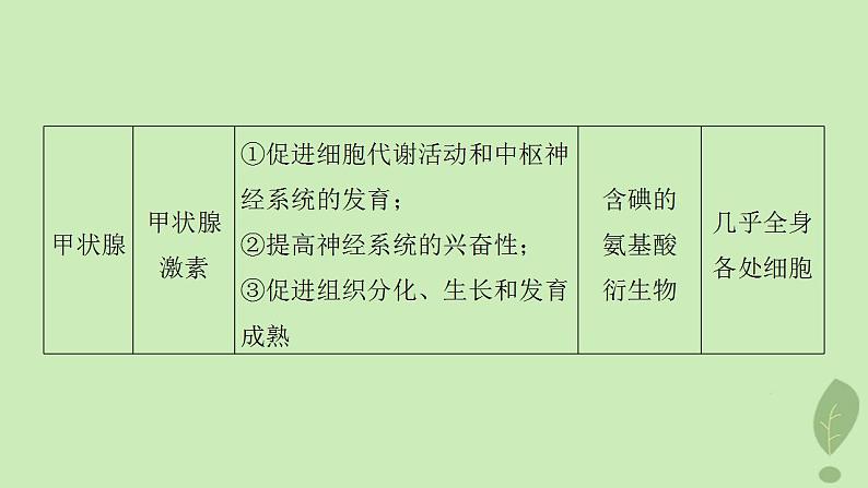 2024届高考生物一轮复习第八单元生命活动的调节第3课时激素与内分泌系统激素调节的过程课件（苏教版）08