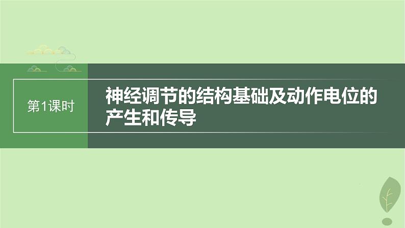 2024届高考生物一轮复习第八单元生命活动的调节第1课时神经调节的结构基础及动作电位的产生和传导课件（苏教版）第1页