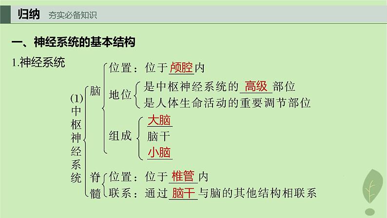 2024届高考生物一轮复习第八单元生命活动的调节第1课时神经调节的结构基础及动作电位的产生和传导课件（苏教版）第4页