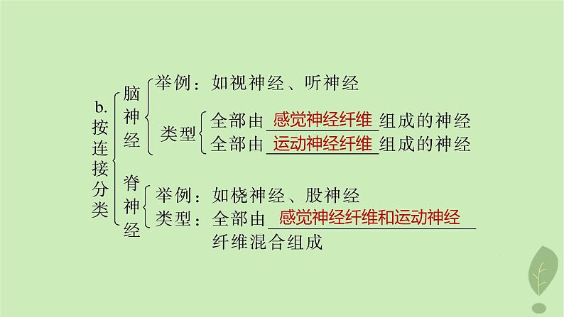 2024届高考生物一轮复习第八单元生命活动的调节第1课时神经调节的结构基础及动作电位的产生和传导课件（苏教版）第6页