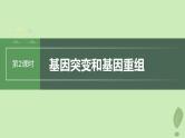 2024届高考生物一轮复习第七单元生物的变异和进化第2课时基因突变和基因重组课件（苏教版）