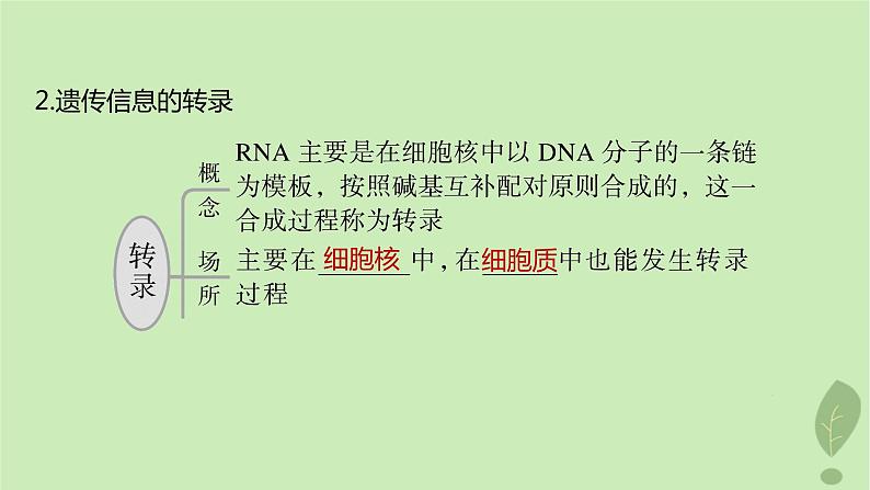 2024届高考生物一轮复习第六单元遗传的分子基础第4课时DNA通过RNA指导蛋白质合成课件（苏教版）05