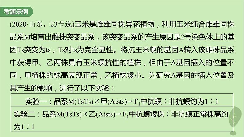 2024届高考生物一轮复习第五单元基因的传递规律长句表达三遗传实验中相关推理分析课件（苏教版）02