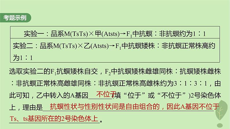 2024届高考生物一轮复习第五单元基因的传递规律长句表达三遗传实验中相关推理分析课件（苏教版）03