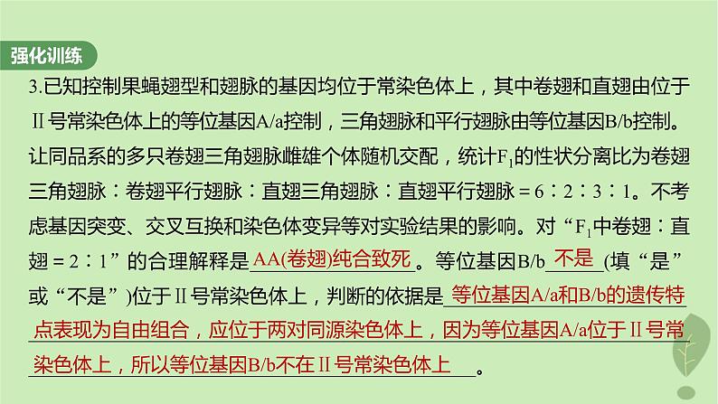 2024届高考生物一轮复习第五单元基因的传递规律长句表达三遗传实验中相关推理分析课件（苏教版）07