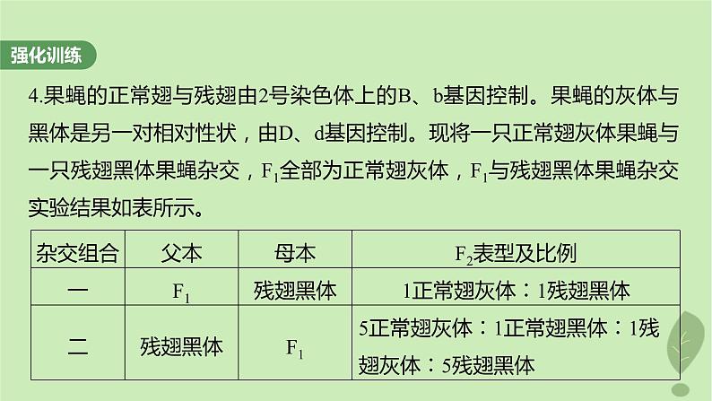 2024届高考生物一轮复习第五单元基因的传递规律长句表达三遗传实验中相关推理分析课件（苏教版）08