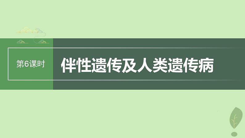 2024届高考生物一轮复习第五单元基因的传递规律第6课时伴性遗传及人类遗传病课件（苏教版）01