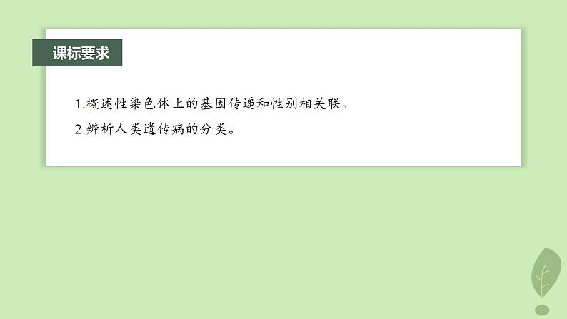 2024届高考生物一轮复习第五单元基因的传递规律第6课时伴性遗传及人类遗传病课件（苏教版）02