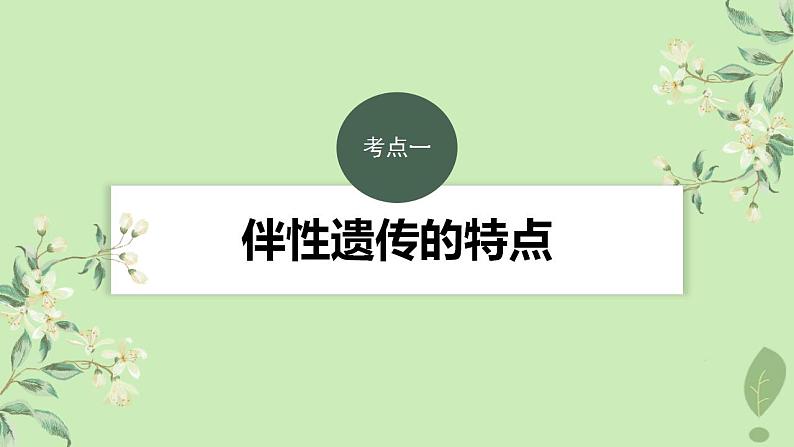2024届高考生物一轮复习第五单元基因的传递规律第6课时伴性遗传及人类遗传病课件（苏教版）03