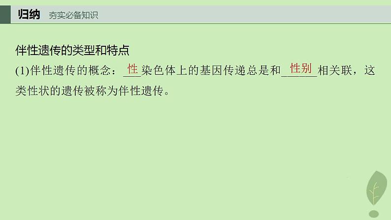 2024届高考生物一轮复习第五单元基因的传递规律第6课时伴性遗传及人类遗传病课件（苏教版）04