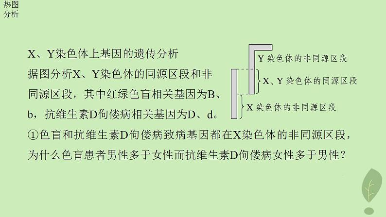 2024届高考生物一轮复习第五单元基因的传递规律第6课时伴性遗传及人类遗传病课件（苏教版）07