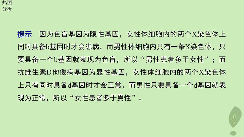 2024届高考生物一轮复习第五单元基因的传递规律第6课时伴性遗传及人类遗传病课件（苏教版）08