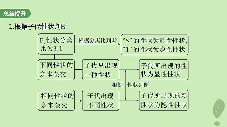 2024届高考生物一轮复习第五单元基因的传递规律第2课时分离定律重点题型突破课件（苏教版）第4页